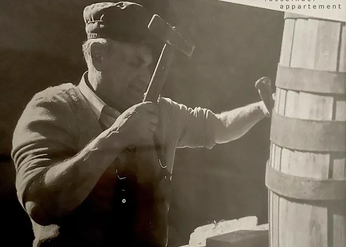 Appartement Fassbinder Hall in Tirol