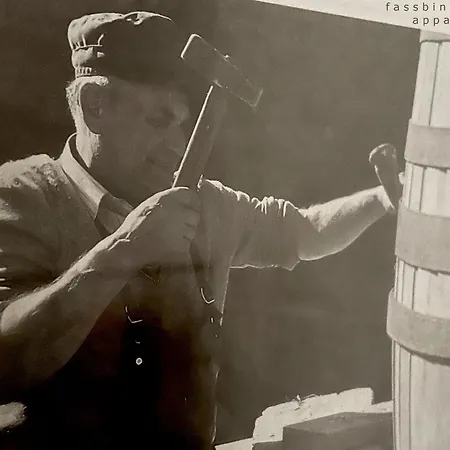 Apartmán Fassbinder Hall in Tirol